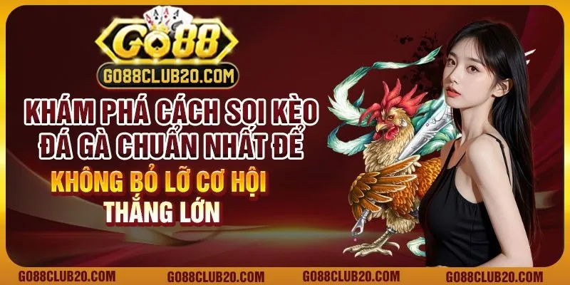 Khám phá cách soi kèo đá gà chuẩn nhất để không bỏ lỡ cơ hội thắng lớn