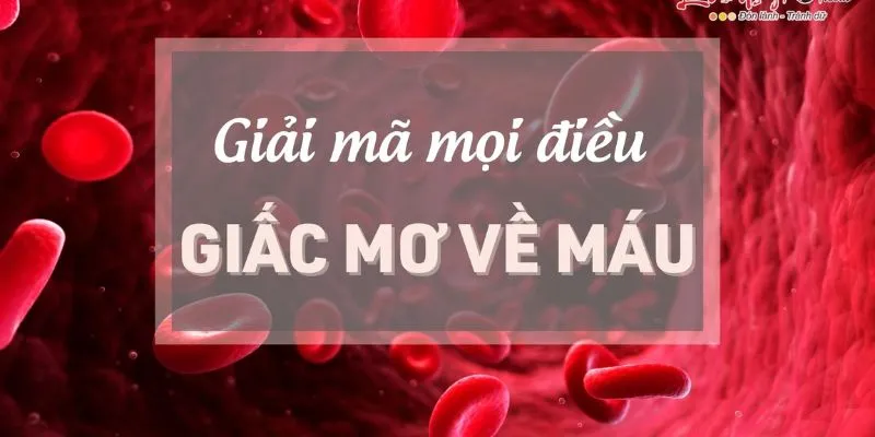 Một số chia sẻ liên quan từ cộng đồng khi nằm mơ thấy máu chảy